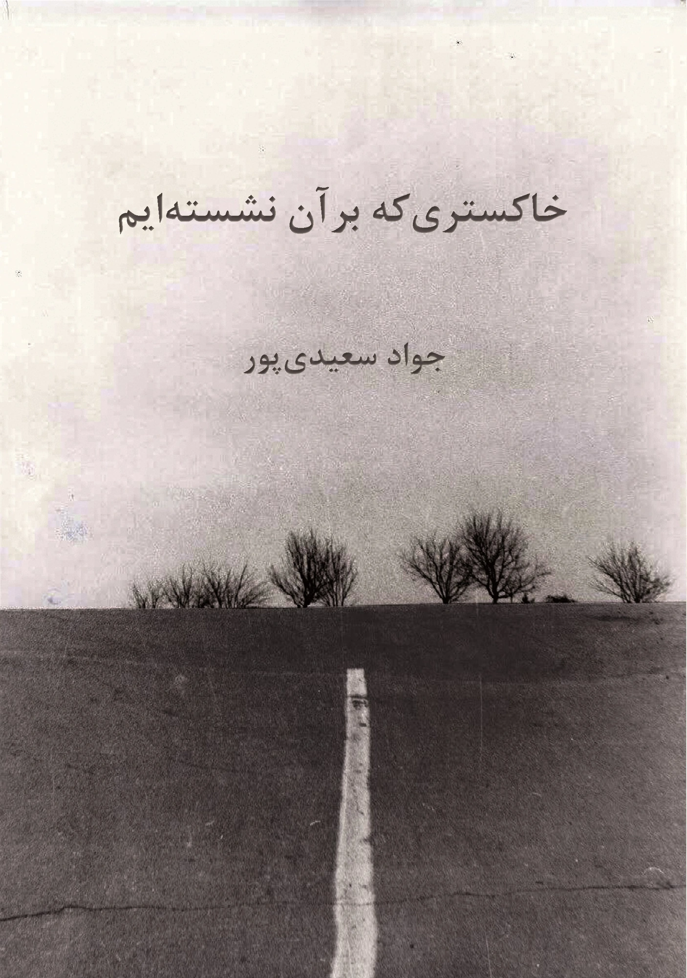 جلد خاکستری که بر آن نشسته‌ایم