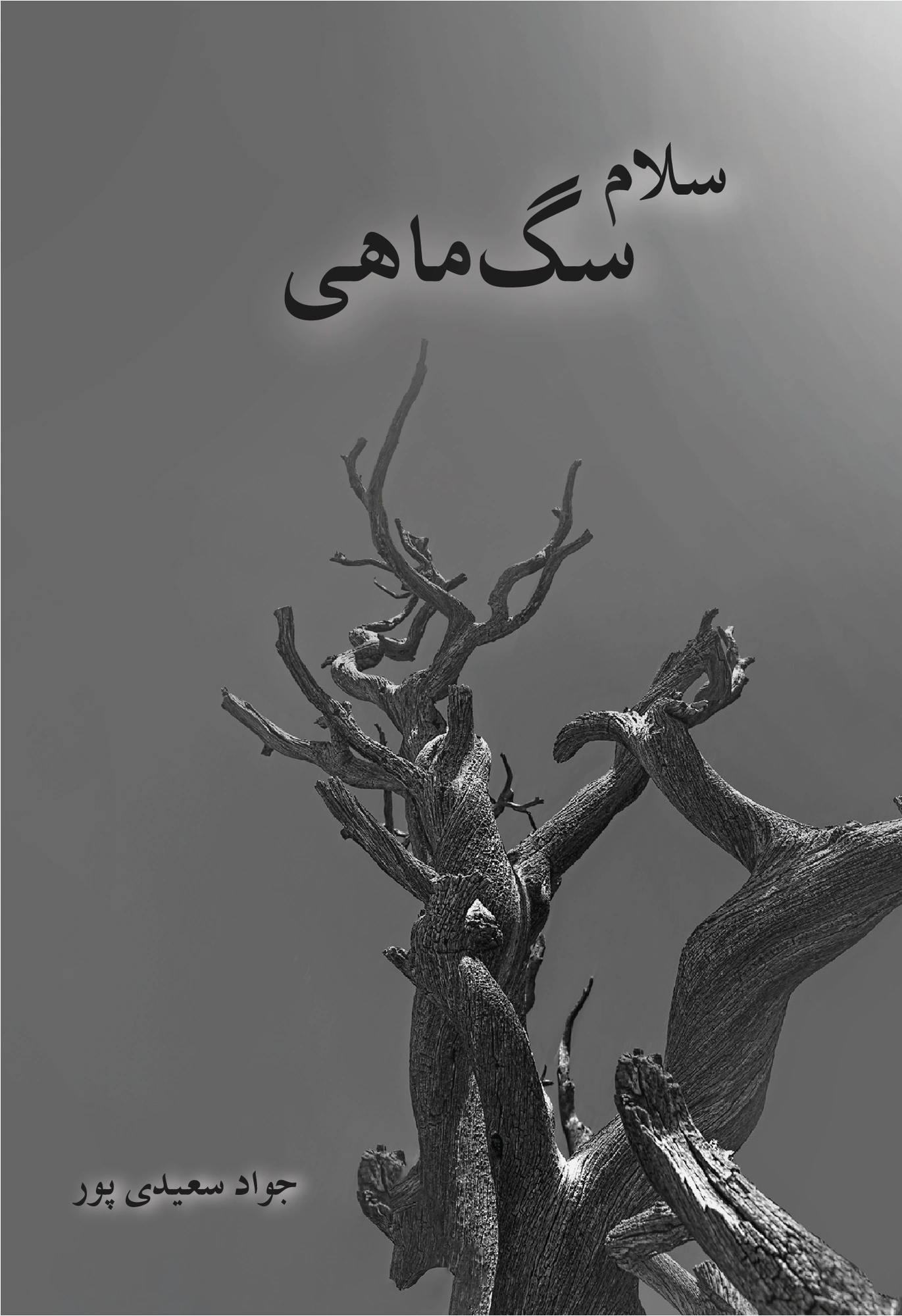 جلد سلام سگ‌ماهی / با غول‌های بعد از مرگ